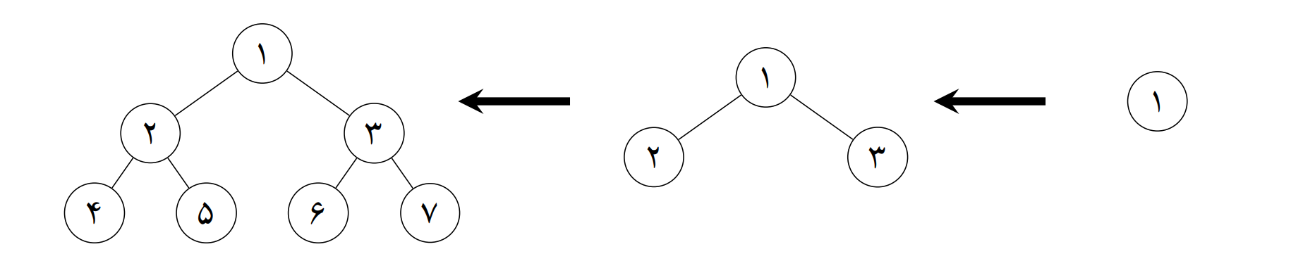درخت زندگی با ارتفاع یک، دو، سه